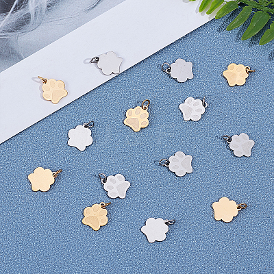 201 Stainless Steel Pet Charms STAS-UN0019-49-1