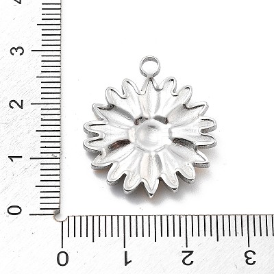 304 Stainless Steel Pendants STAS-R155-045GP-01-1