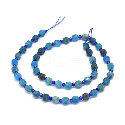 Natural Apatite Beads Strands G-O201B-04-1