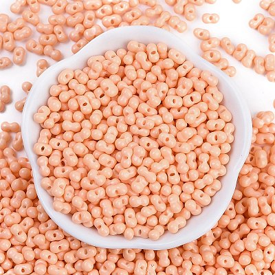 Baking Paint Glass Seed Beads X1-SEED-K010-A14-1