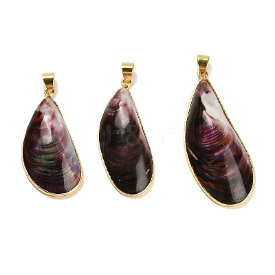 Natural Shell Pendants SHEL-D080-01G-1