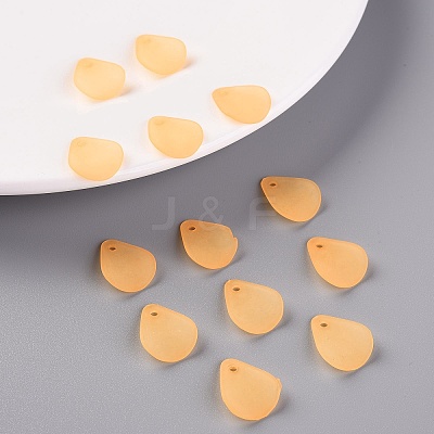 Transparent Frosted Acrylic Pendants MACR-S371-09A-719-1