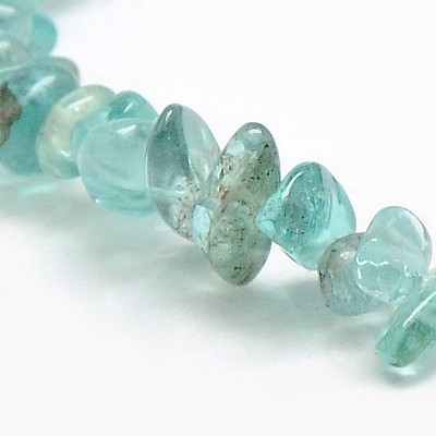 Natural Apatite Chip Beads Strands G-L154-23-1