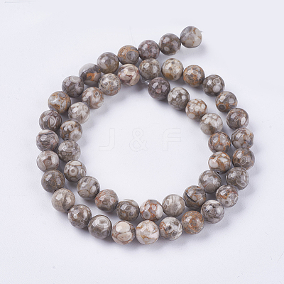 Natural Maifanite/Maifan Stone Beads Strands G-I187-4mm-01-1