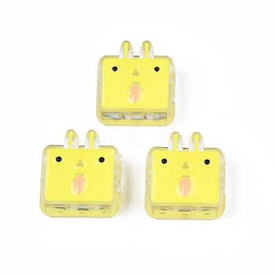 Transparent Acrylic Beads ACRC-S039-10C-1