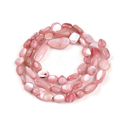 Natural White Shell Beads Strands SHEL-N036-21G-1