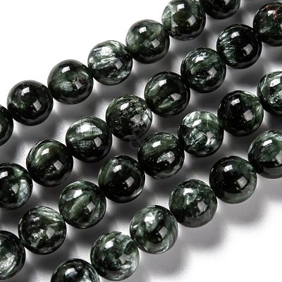 Natural Seraphinite Beads Strands G-E557-22B-1
