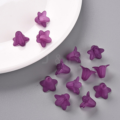 Transparent Acrylic Beads PLF018-16-1