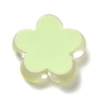 Translucent Resin Cabochons X-RESI-C034-04-1