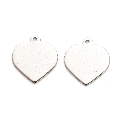 Non-Tarnish Stainless Steel Pendants STAS-L276-01P-05-1