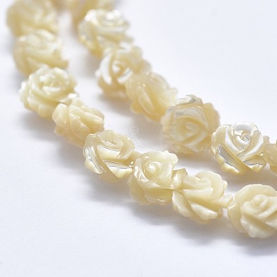 Shell Bead Strands SSHEL-P015-01B-12mm-1