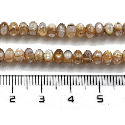 Natural Freshwater Shell Beads Strands BSHE-G038-05-1