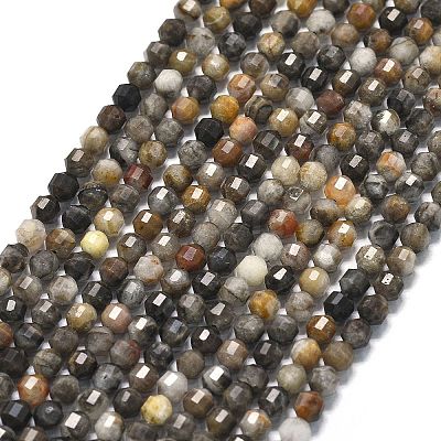 Natural Larvikite Beads Strands G-A260-A23-01-1