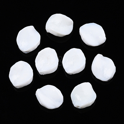 Handmade Lampwork Beads LAMP-T011-17-1