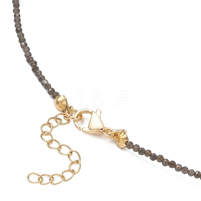 2Pcs 2 Colors Handmade Foil Lampwork Fish & Natural Rainbow Moonstone & Obsidian Faceted Round Beaded Necklaces for Women NJEW-JN05535-1