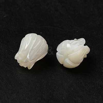 Natural Trochid Shell/Trochus Shell Beads BSHE-E026-03-1