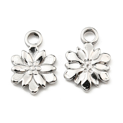 Non-Tarnish 304 Stainless Steel Charm STAS-R124-03P-1