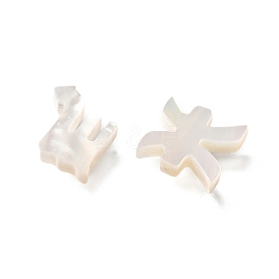 12Pcs 12 Styles Natural White Shell Beads BSHE-Z008-12-1