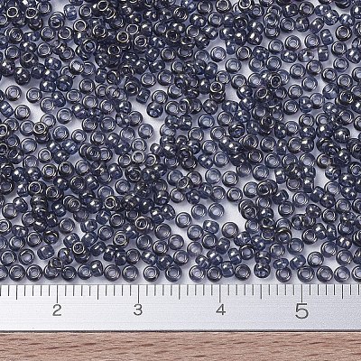 MIYUKI Round Rocailles Beads X-SEED-G007-RR2447-1