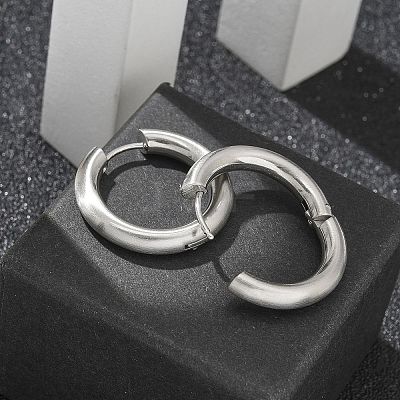 Frosted 304 Stainless Steel Huggie Hoop Earrings for Women EJEW-C096-32G-P-1