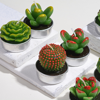 Cactus Paraffin Smokeless Candles DIY-G024-F-1