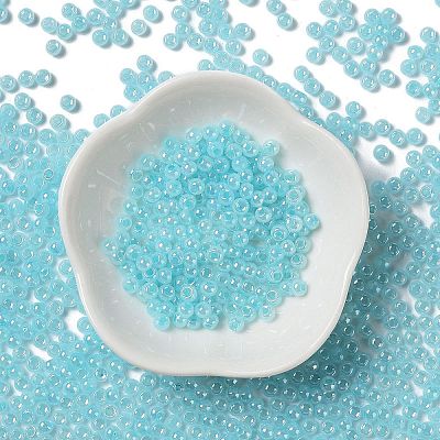 Glass Seed Beads SEED-H002-E-A1411-1