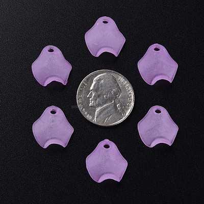 Transparent Acrylic Beads MACR-S373-106-D03-1