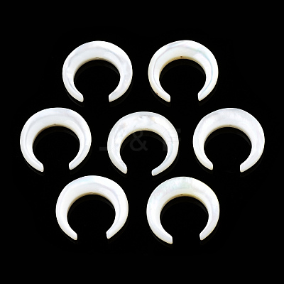 Natural White Shell Beads SSHEL-N034-122A-03-1
