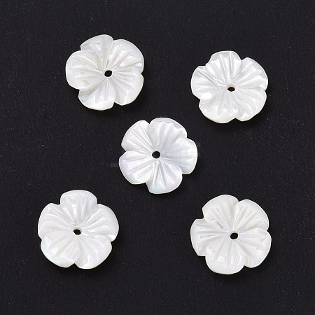 Natural Trochid Shell/Trochus Shell Beads SHEL-P014-02B-1