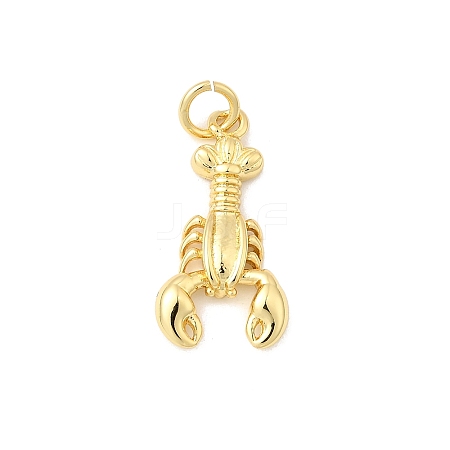 Brass Pendants KK-I364-06G-04-1