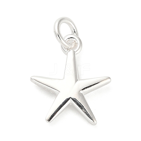 925 Sterling Silver Charms FIND-Z069-04S-A-1