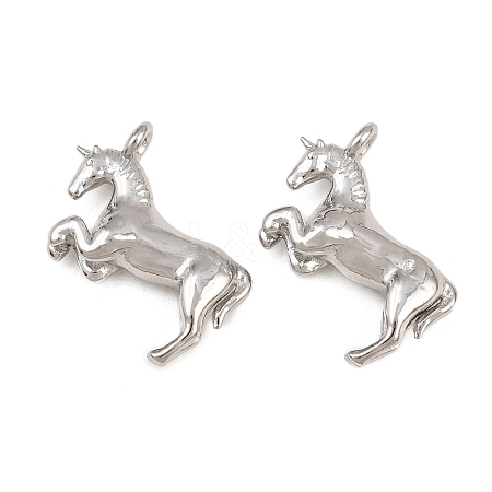 304 Stainless Steel Pendants STAS-L022-591P-1