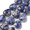 Natural Blue Spot Jasper Beads Strands G-P528-L17-01-1