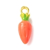 Alloy Enamel Pendants AL-CBA24A7-01G-01-1