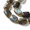 Natural Labradorite Beads Strands G-H061-A01-01-4