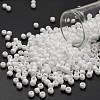 TOHO 6/0 Round Beads X-SEED-TR06-0041-1