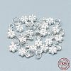 925 Sterling Silver Charms STER-T002-104S-1