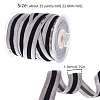 Polyester Ribbon SRIB-F008-A02-19mm-2