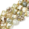 Natural Fire Crackle Agate Beads Strands G-U023-A16-02-2