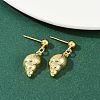Shell Shape & Starfish & Dolphin & Fish Brass Dangle Stud Earrings EJEW-Z115-02G-3