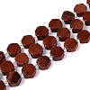 Natural Red Jasper Beads Strands G-P534-A19-01-4