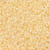 Cylinder Seed Beads SEED-H001-E08-4