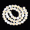Natural Freshwater Shell Beads Strands SHEL-N003-31B-01-2