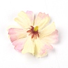 Silk Cloth Artifical Flower DIY-WH0259-44M-2