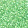 Transparent Glass Round Seed Beads SEED-B001-05A-06-3