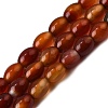 Natural Red Agate Beads Strands G-F801-F01-01A-2