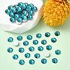 Preciosa® MAXIMA Crystal No Hotfix Flatback Stones Y-PRC-NSS12-60230-2