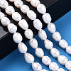 Natural Cultured Freshwater Pearl Beads Strands PEAR-N012-07J-6