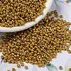 MIYUKI Round Rocailles Beads X-SEED-G008-RR4203-1
