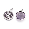 Natural Amethyst Pendants X-G-L512-J02-2